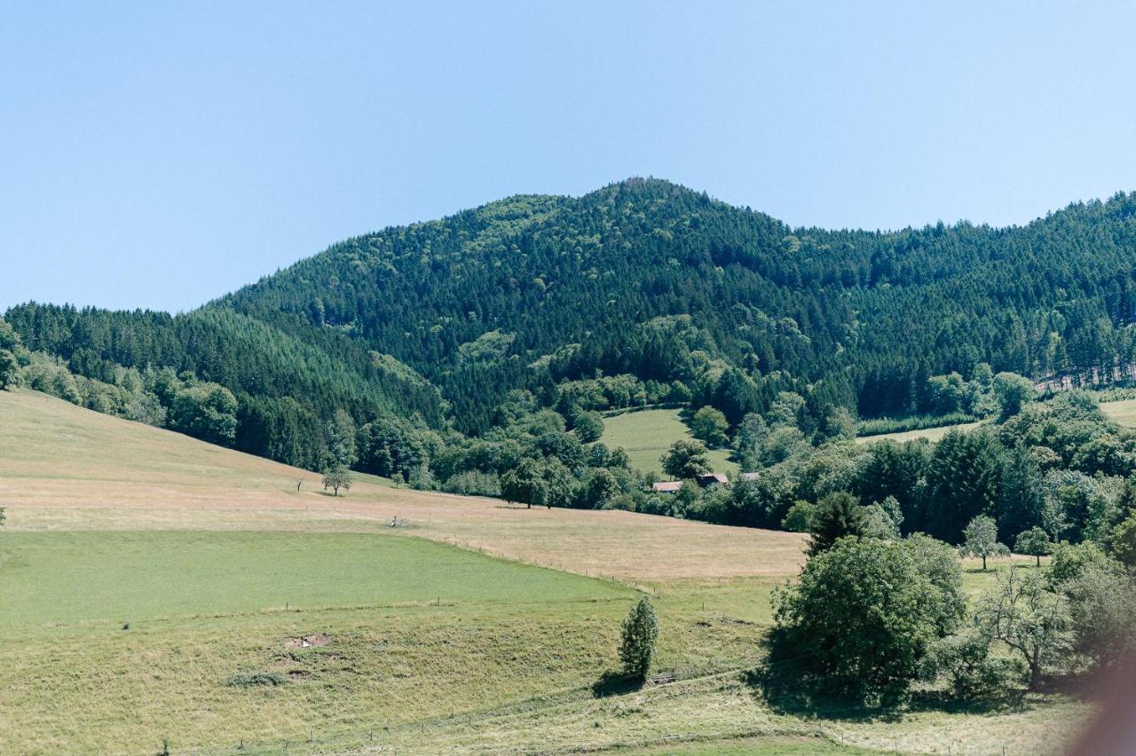 Moderne 2 Zi.-Fewo Blackforestart Naehe Freiburg Simonswald Bagian luar foto